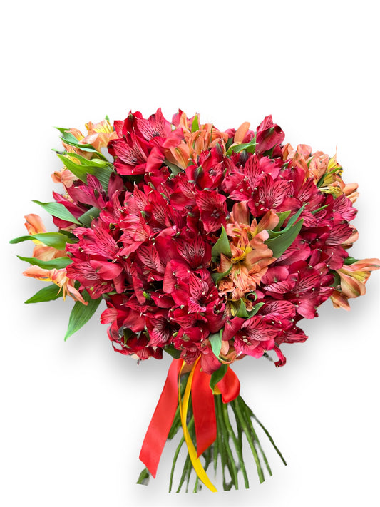 ALSTROEMERIA SYMPHONY