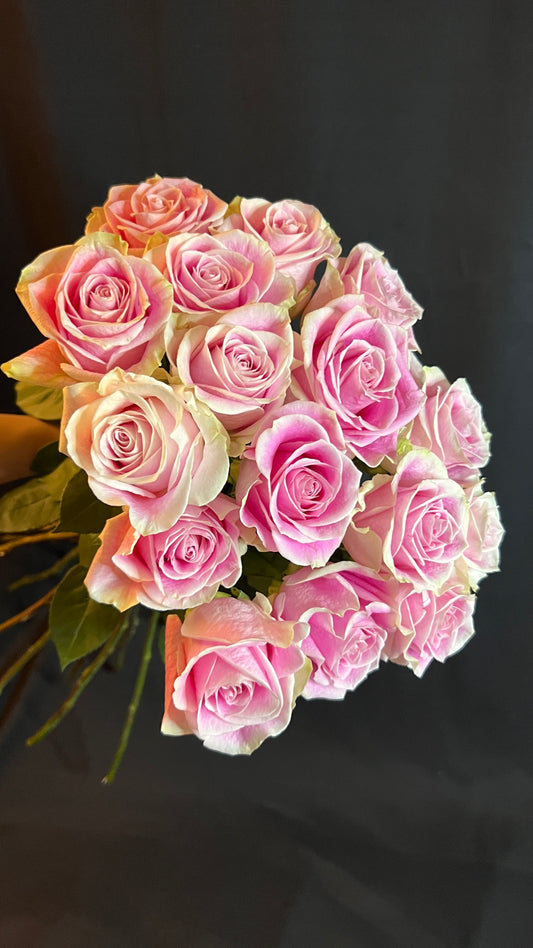 rose pink roses gift cadeau delicate flowers fleurs fiori flores rosa florist fleuriste pink roses bouquet for delivery in Montreal