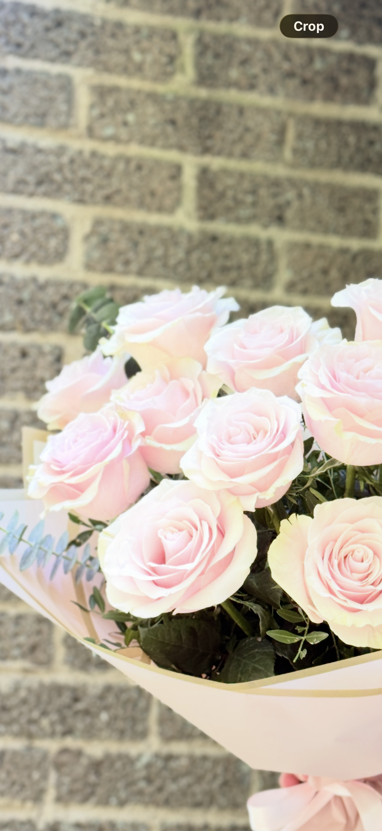 ROSE CHARM