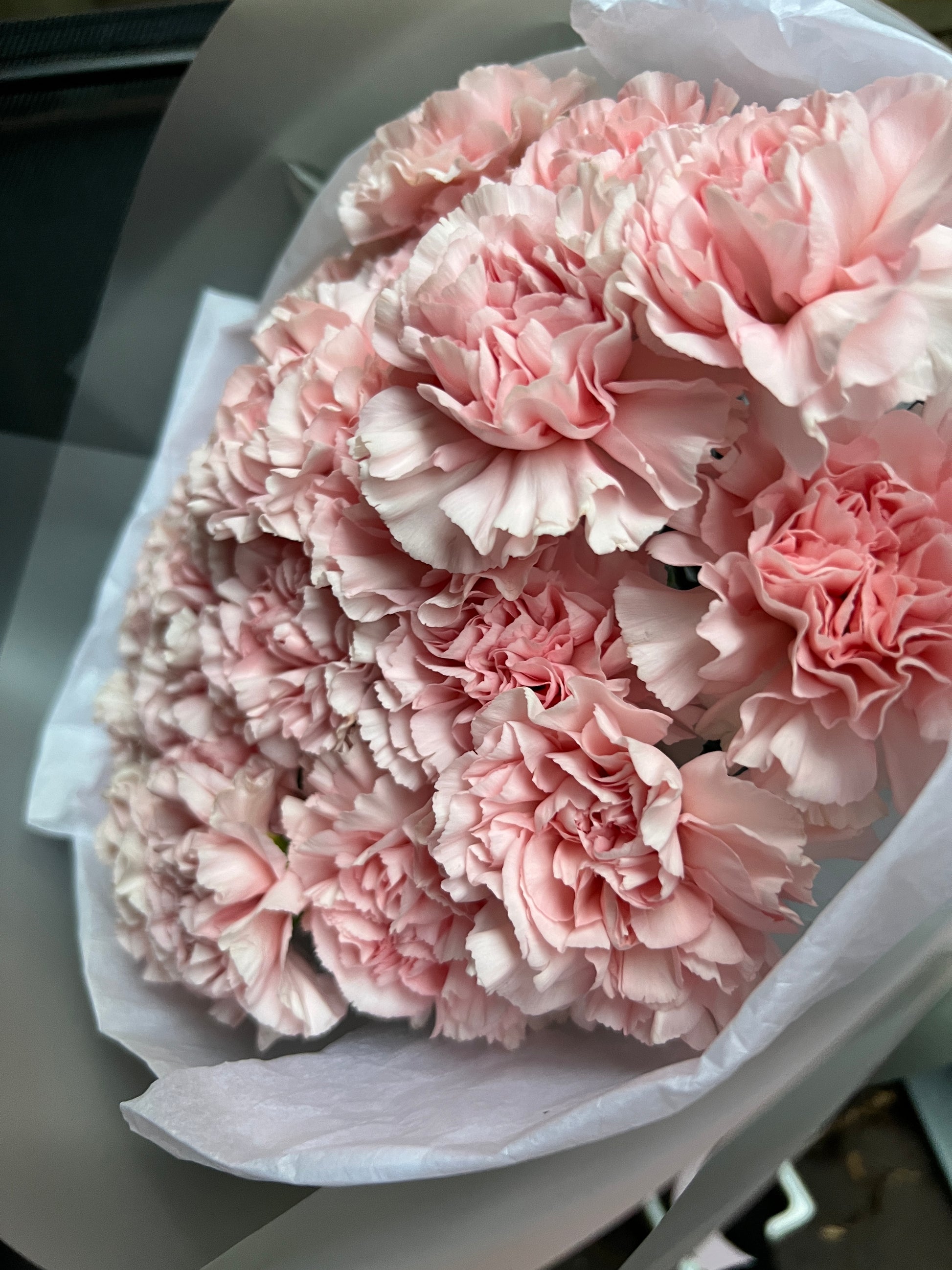 carnations pink fleurs flower bouquet delivery montreal canada gift flowers florist fleuriste white matte paper flower bouquet de fleurs flowers montrea roses art best gift craspedia sapdragon delivery free livraison gratuite for her love birthday gift cadeau flowers near me
flowers close to me
flowers near to me
near me flowers
florist montreal
florist verdun
fleuriste montreal
fleuriste verdun
best online flower shop
best online florist montreal
same day flower delivery Montreal westmount brossard