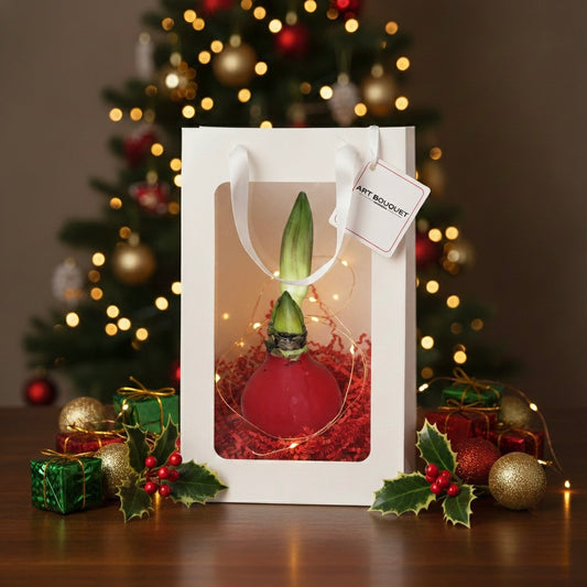 HOLIDAY GLOW AMARYLLIS