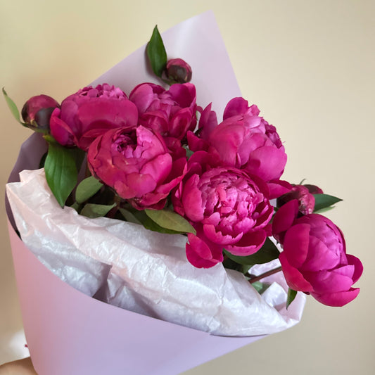 Vibrant fuchsia peony bouquet wrapped in purple paper, ready for Montreal same-day delivery.